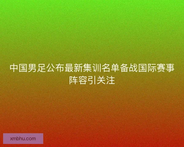 中国男足公布最新集训名单备战国际赛事阵容引关注
