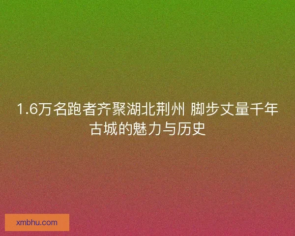 1.6万名跑者齐聚湖北荆州 脚步丈量千年古城的魅力与历史 1.6万名跑者齐聚湖北荆州 脚步丈量千年古城的魅力与历史
