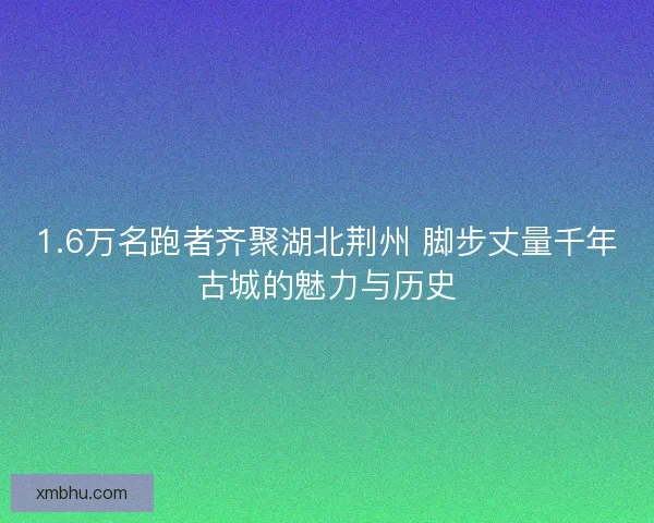 1.6万名跑者齐聚湖北荆州 脚步丈量千年古城的魅力与历史 1.6万名跑者齐聚湖北荆州 脚步丈量千年古城的魅力与历史