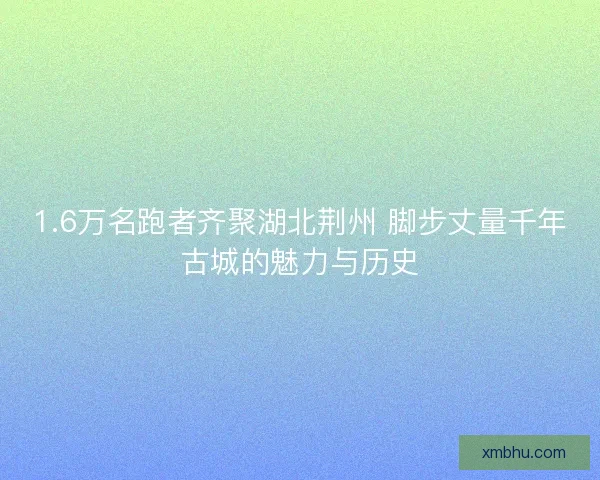 1.6万名跑者齐聚湖北荆州 脚步丈量千年古城的魅力与历史