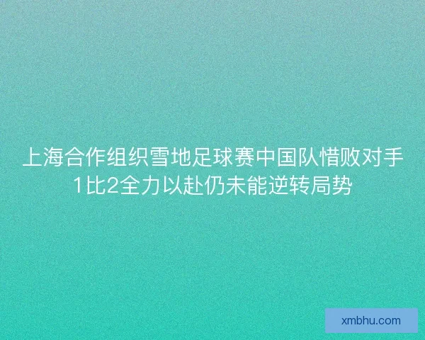 上海合作组织雪地足球赛中国队惜败对手1比2全力以赴仍未能逆转局势